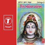 Gaurav Dhruv Songs MP3 Download